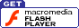 Image: Flash Player